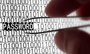 ¡Con las Contraseñas, el tamaño si importa!