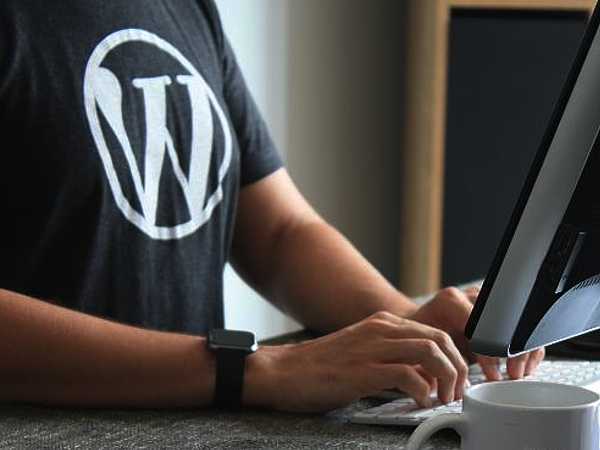 desarrollo wordpress2